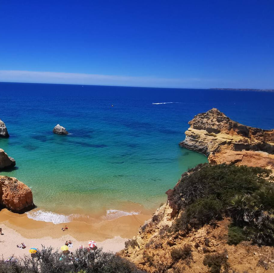 Vida à portuguesa, Gaivota 🐦
