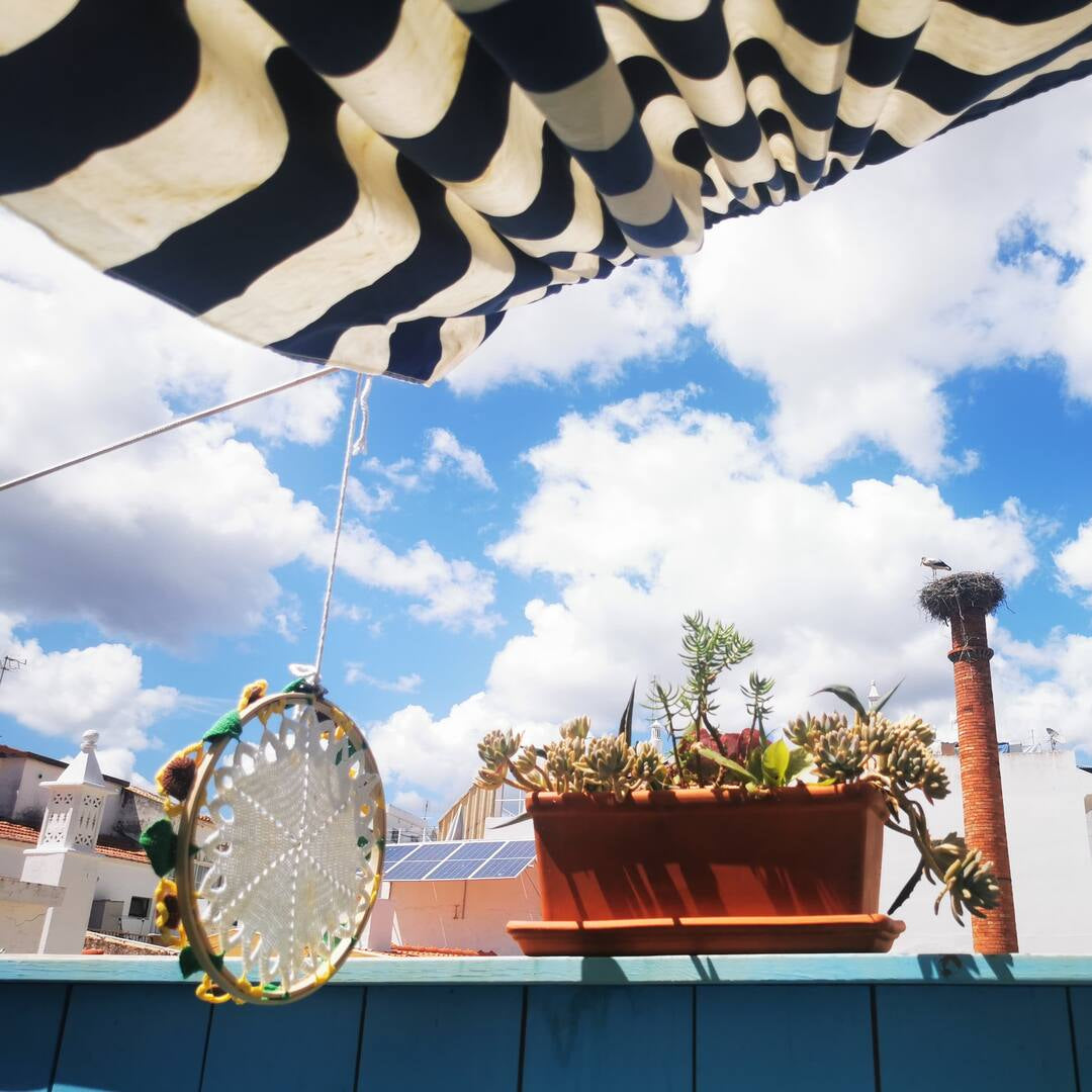 Vida à portuguesa, Limão 🍋