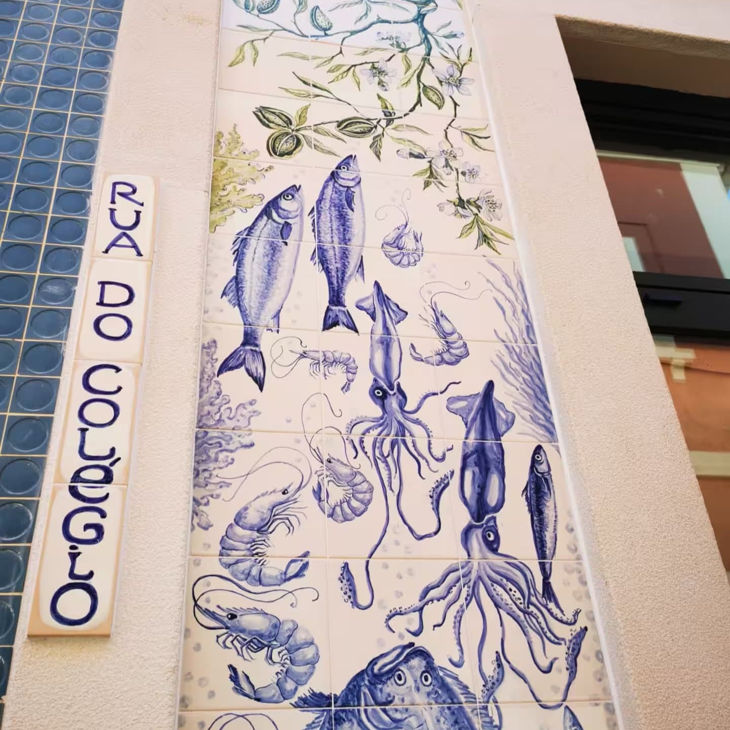 Vida à portuguesa, Polvo 🐙