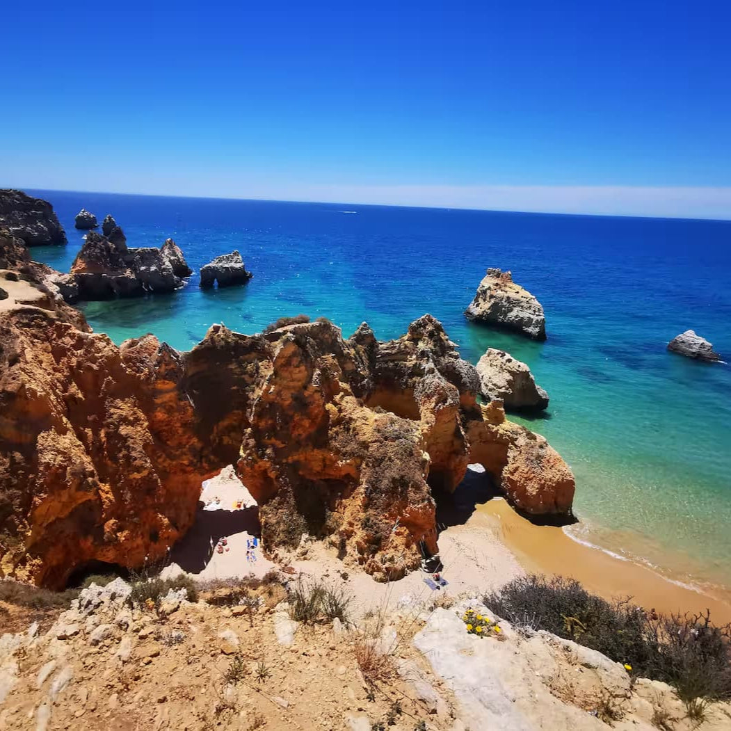Vida à portuguesa, Polvo 🐙