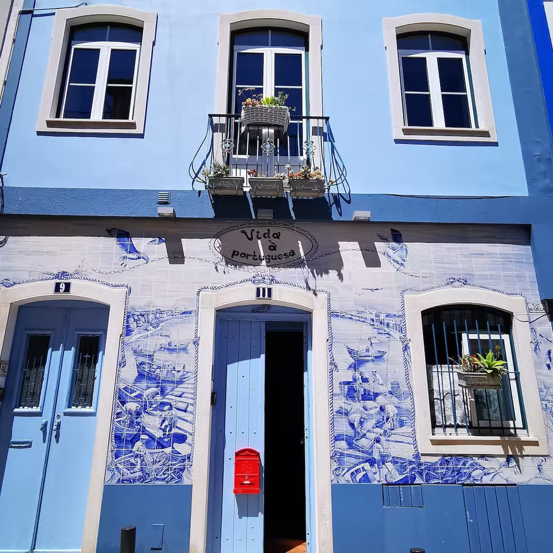 Vida à portuguesa, Sardinha🐟