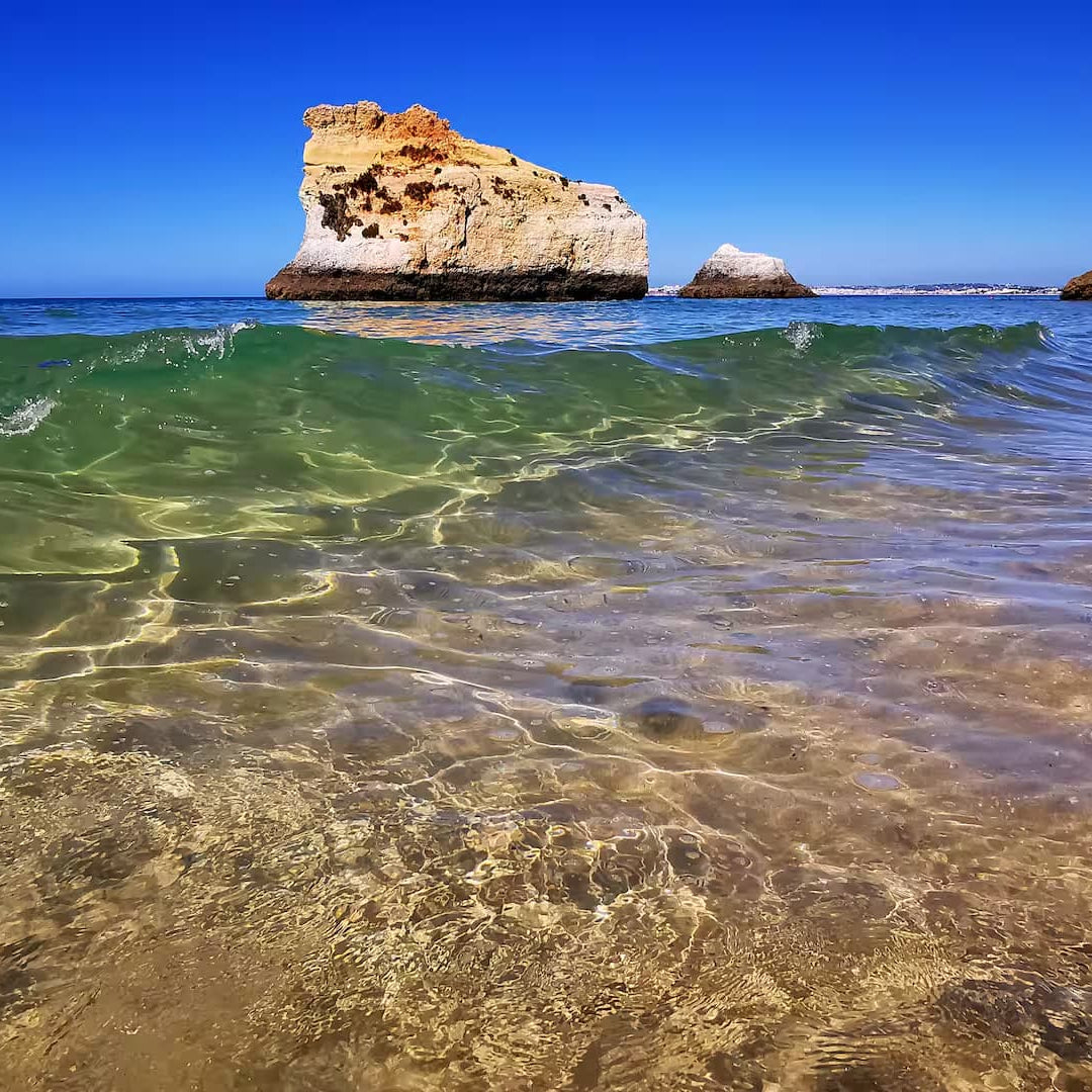 Vida à portuguesa, Sardinha🐟